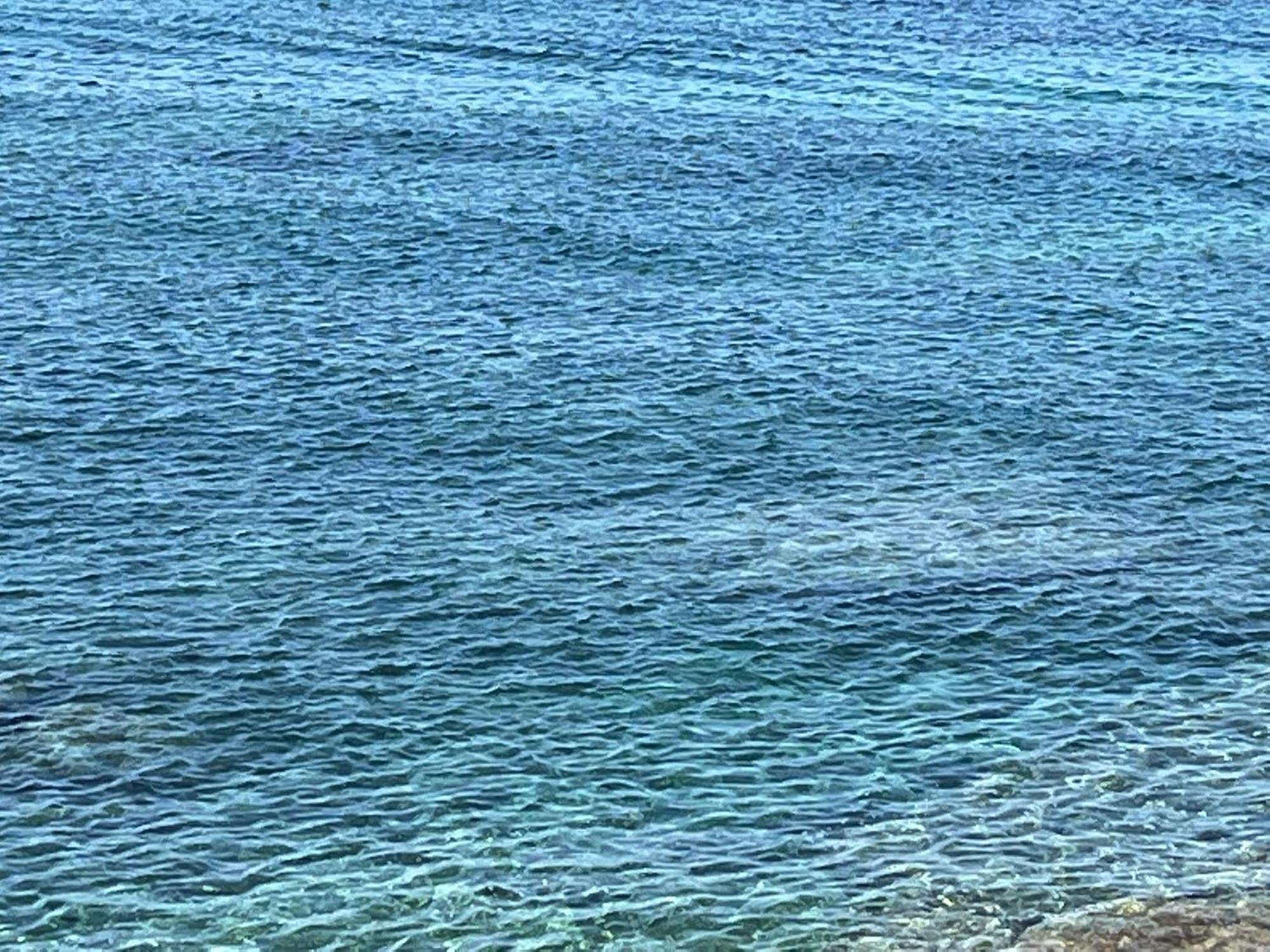 Casa Mare Incantevole Alghero Ngoại thất bức ảnh